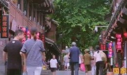 遵义综合频道在线观看,实时在线观看，尽享视听盛宴