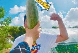 网红吃瓜爆料718,718事件背后的惊人真相