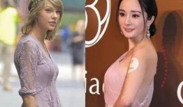 模特圈内人爆料怎么办啊,揭秘行业内幕真相