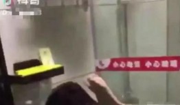 丹东女厕爆料事件视频曝光,真相与争议交织