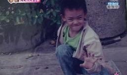 维尼夫妇最新爆料,揭秘甜蜜背后的真实故事